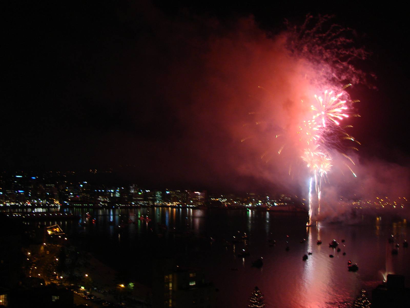 Fireworks over the harbour at midnight on New Year's Eve