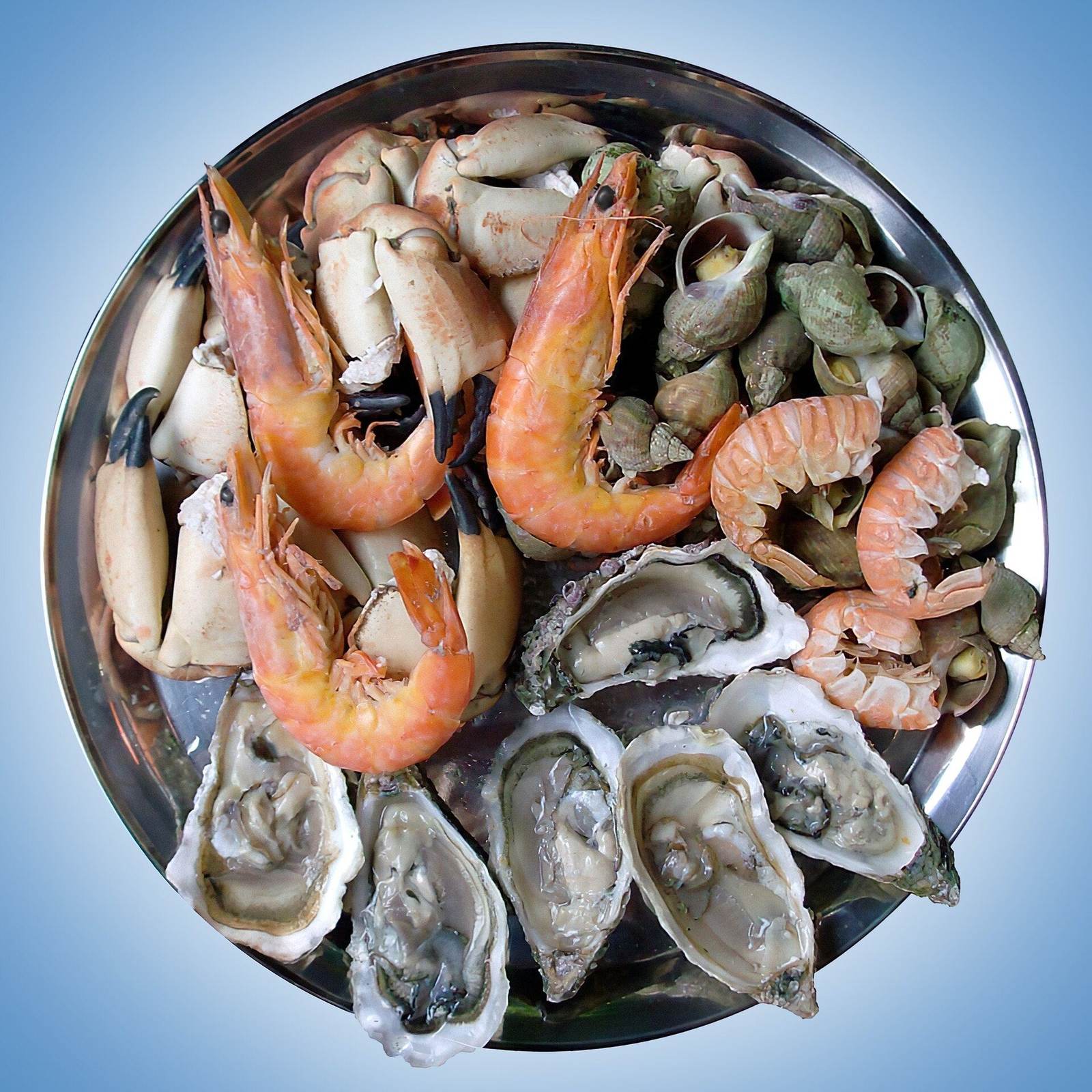 Chilled oyster and shellfish platter